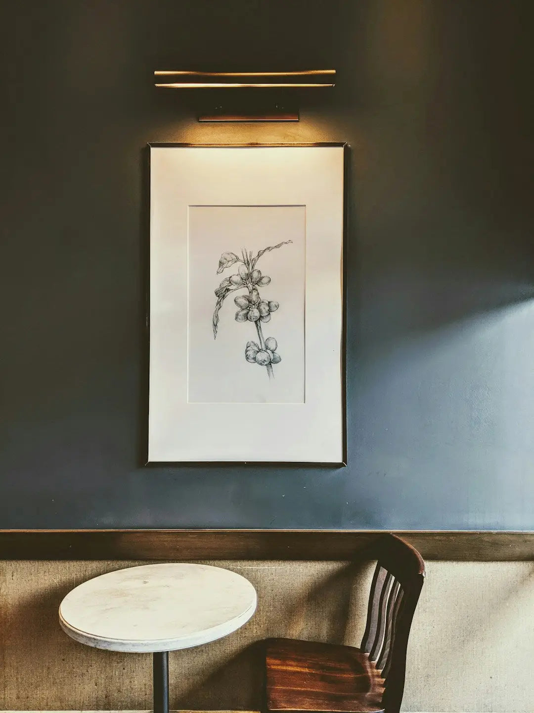 Framed botanical sketch of a flowering plant with elegant picture frame lighting.