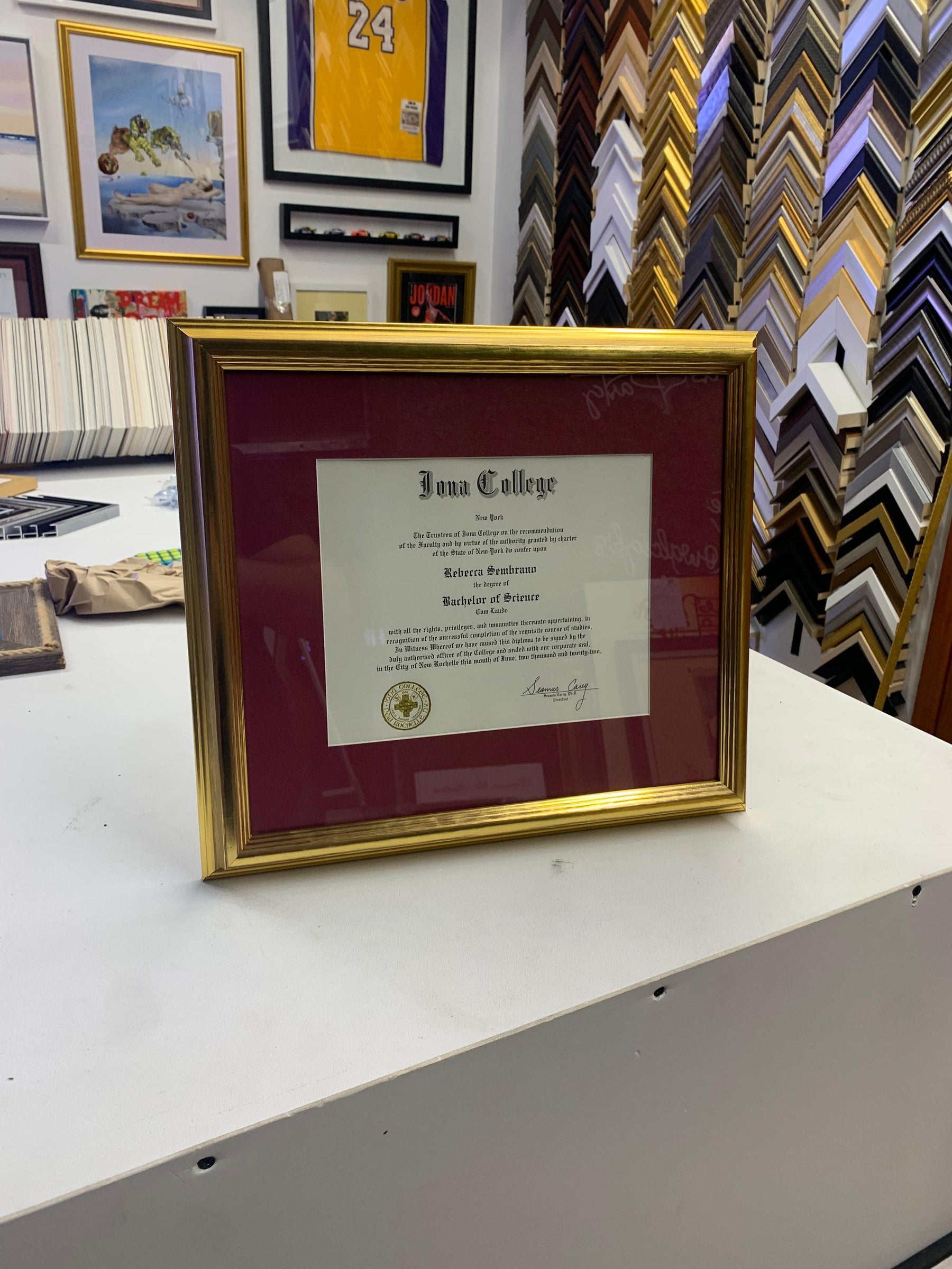 Picture framing Lawyer Certificates, Degrees, Diplomas and Honors - Modern Memory Design Picture frames - NJ Frame shop Custom framing