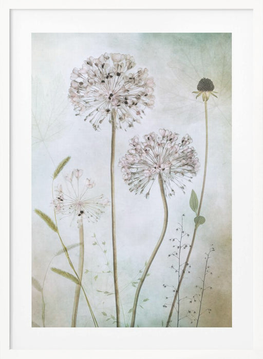 Allium Framed Art Modern Wall Decor