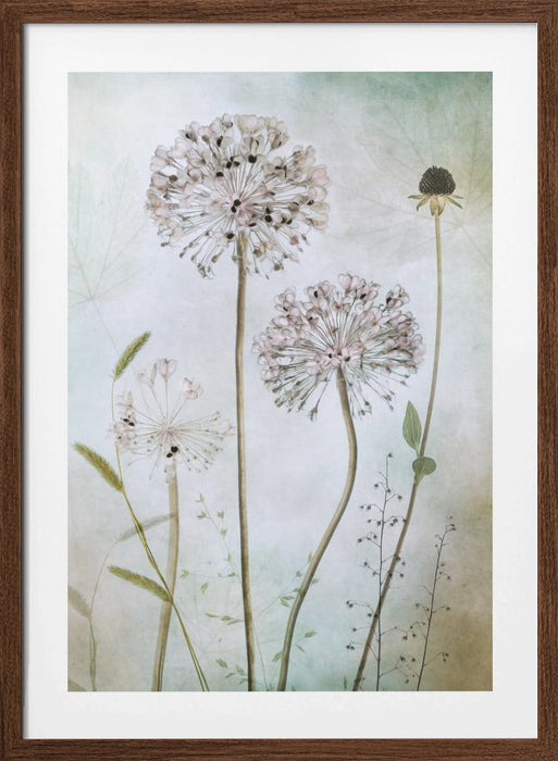 Allium Framed Art Modern Wall Decor