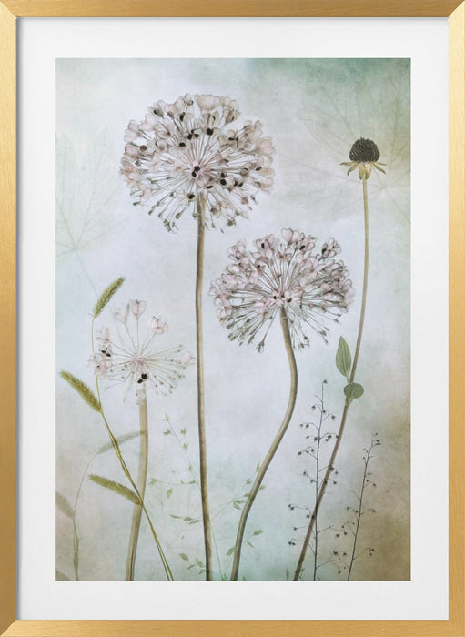 Allium Framed Art Modern Wall Decor