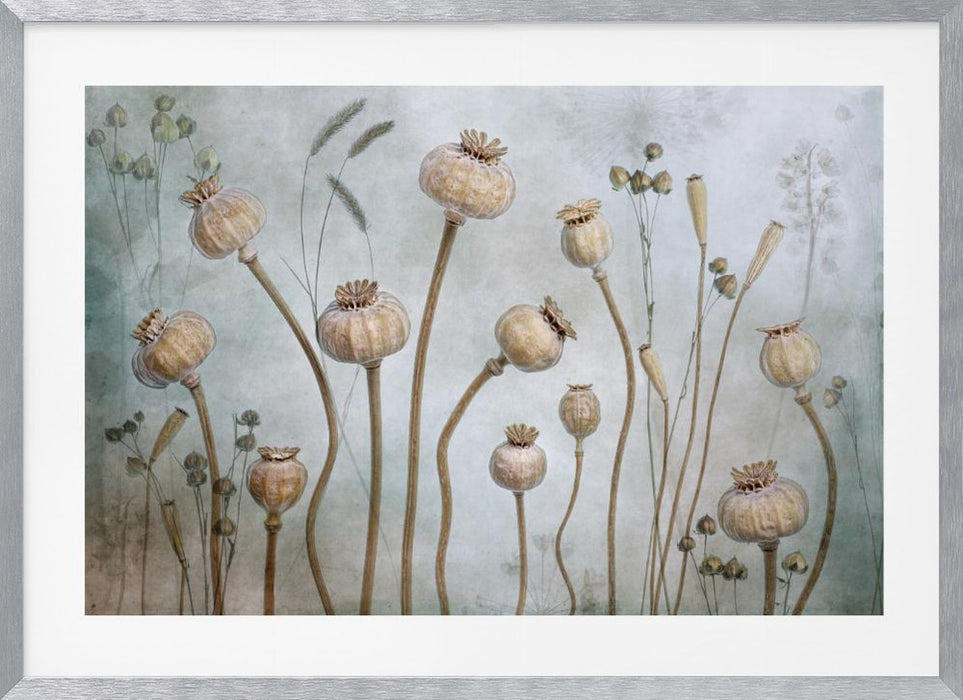 Papaver Landscape Framed Art