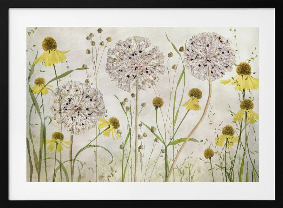 Alliums and heleniums Landscape Framed Art