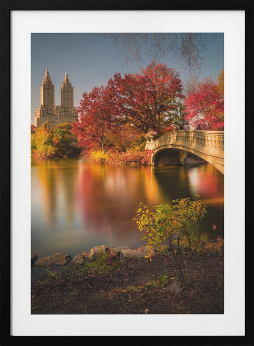 Fall in Central Park Framed Art Modern Wall Decor