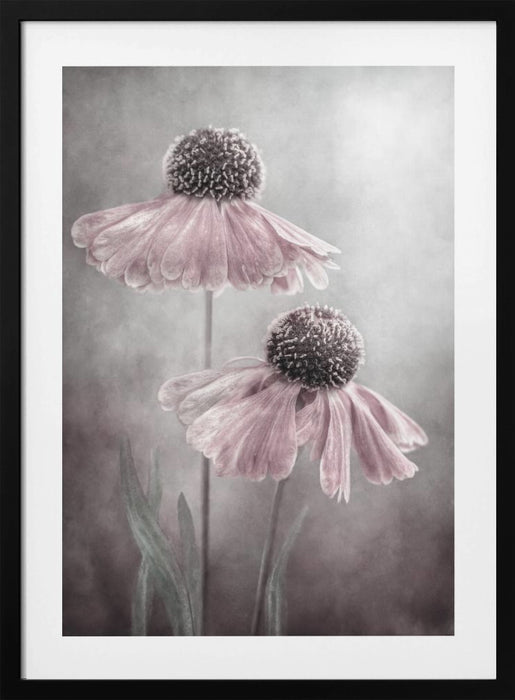 Duet Framed Art Modern Wall Decor