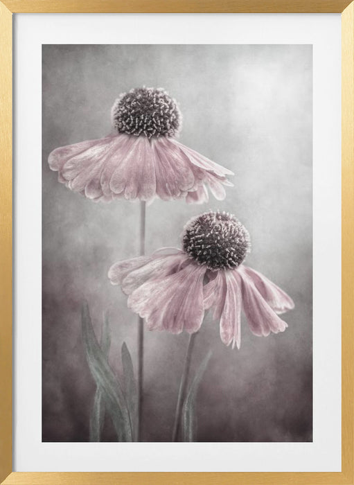 Duet Framed Art Modern Wall Decor