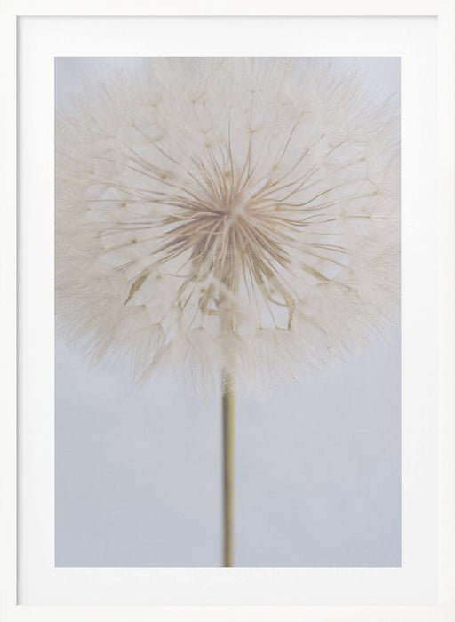 Delicate Dandelion Framed Art Wall Decor