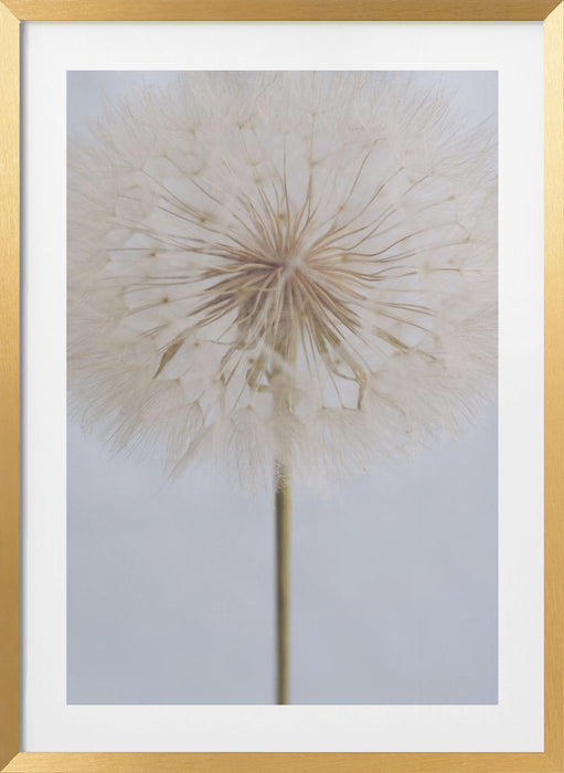 Delicate Dandelion Framed Art Wall Decor