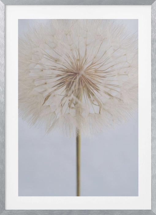 Delicate Dandelion Framed Art Wall Decor