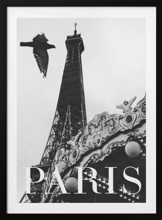 Paris Dove Framed Art Modern Wall Decor