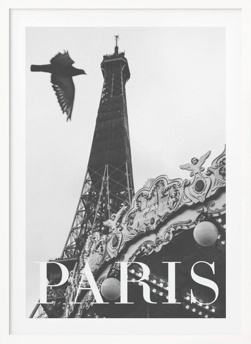 Paris Dove Framed Art Modern Wall Decor