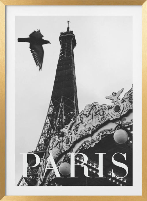 Paris Dove Framed Art Modern Wall Decor