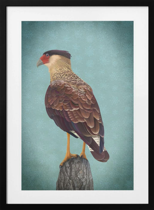 Carancho Framed Art Wall Decor