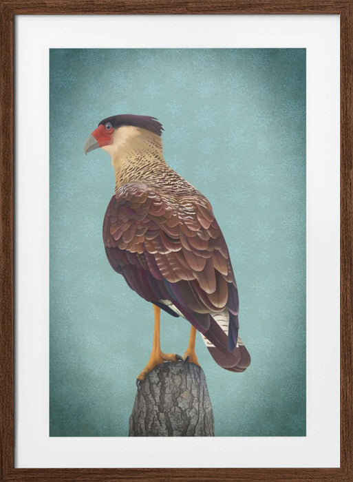 Carancho Framed Art Wall Decor