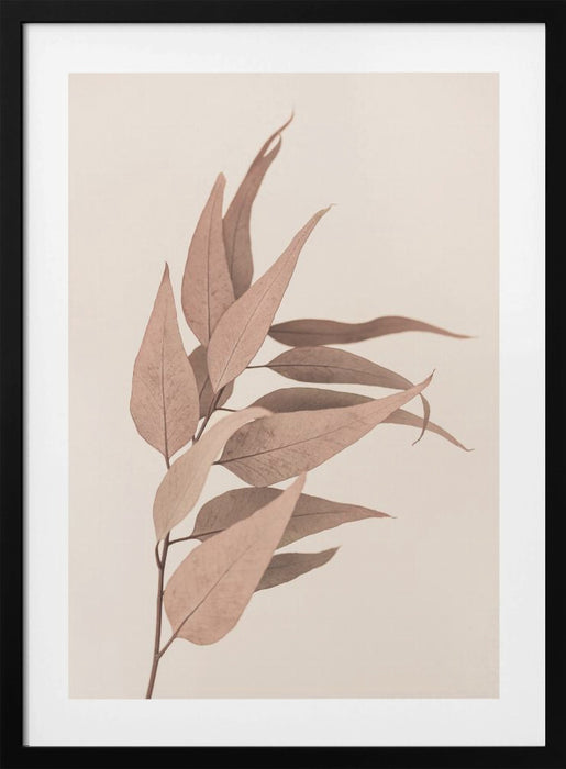 Dried Eucalyptus Framed Art Wall Decor