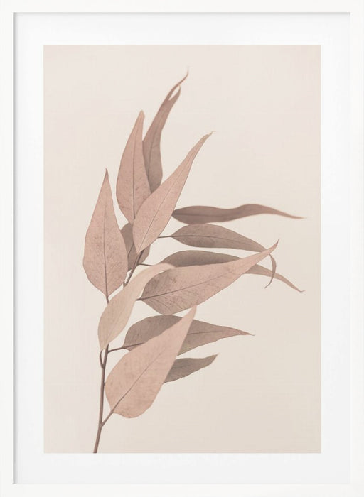 Dried Eucalyptus Framed Art Wall Decor