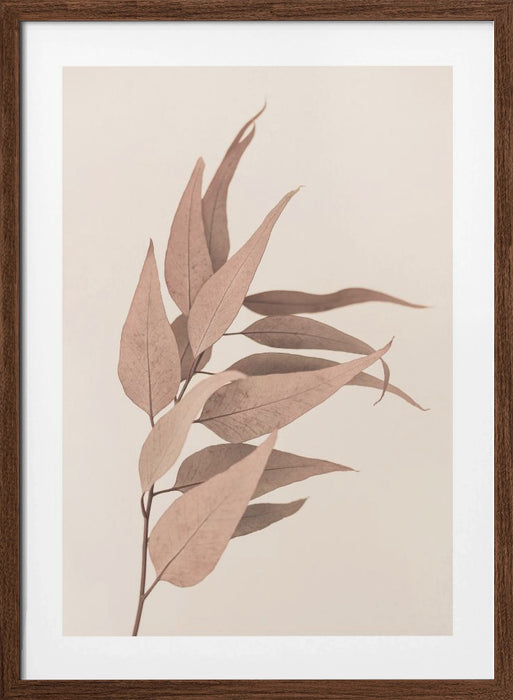 Dried Eucalyptus Framed Art Wall Decor