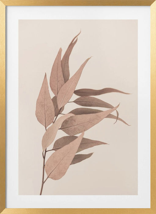 Dried Eucalyptus Framed Art Wall Decor