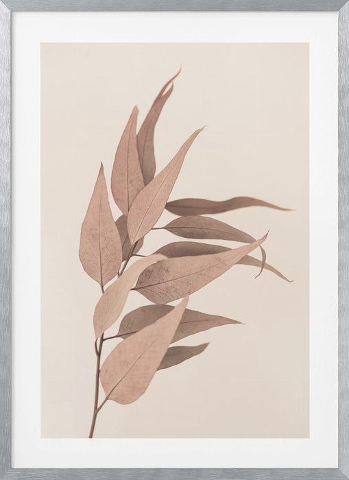 Dried Eucalyptus Framed Art Wall Decor