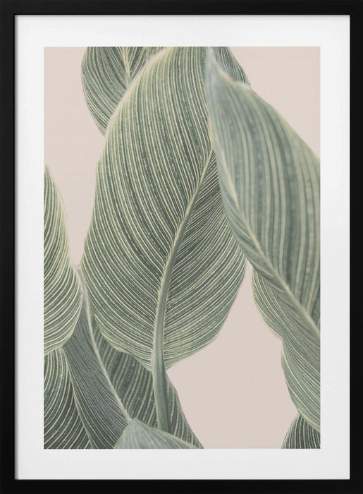 Calla Leaf Framed Art Wall Decor