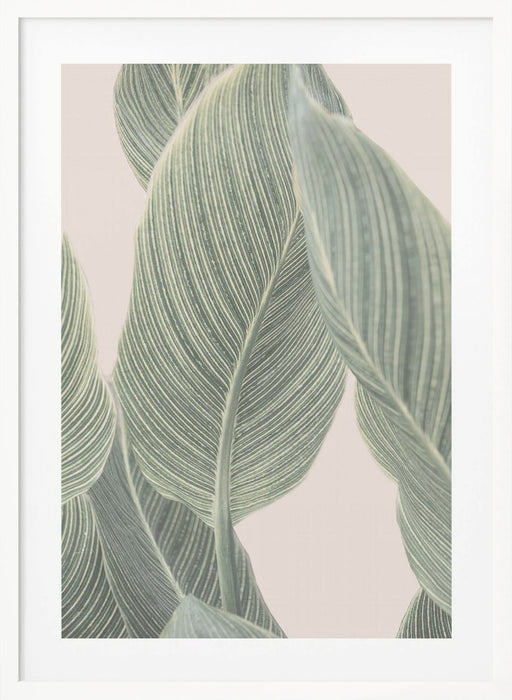 Calla Leaf Framed Art Wall Decor