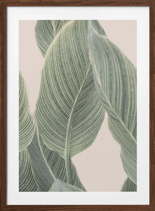 Calla Leaf Framed Art Wall Decor