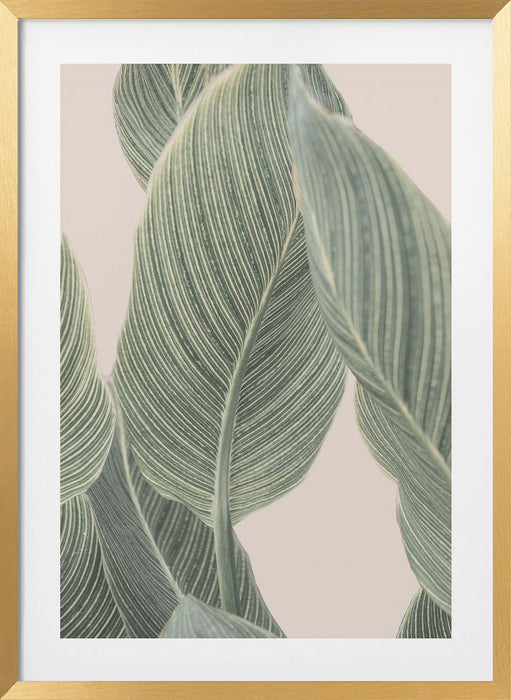 Calla Leaf Framed Art Wall Decor