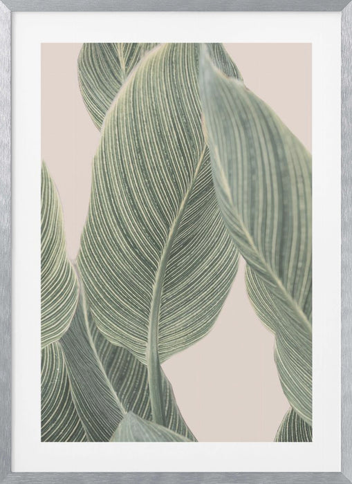 Calla Leaf Framed Art Wall Decor