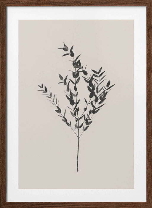 Inky Botanical Framed Art Modern Wall Decor