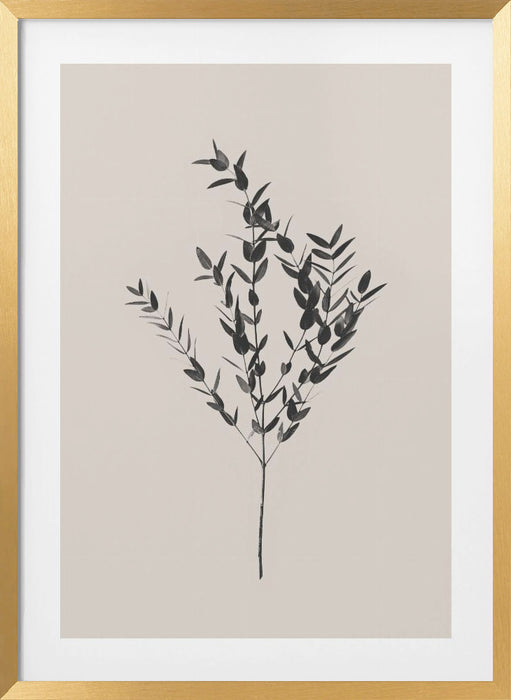 Inky Botanical Framed Art Modern Wall Decor