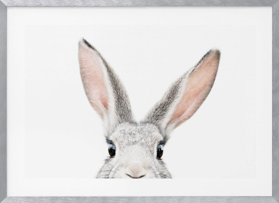 Bunny Landscape Framed Art Peeking Bunny with Scenic Background - Perfect Wall Decor for Any Room