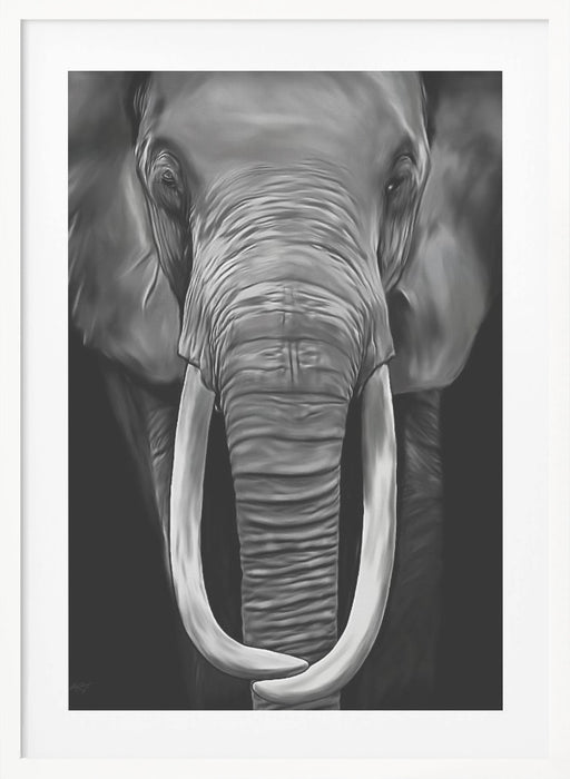 Loxodonta Framed Art Wall Decor