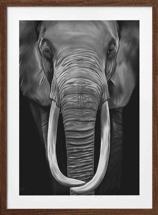 Loxodonta Framed Art Wall Decor