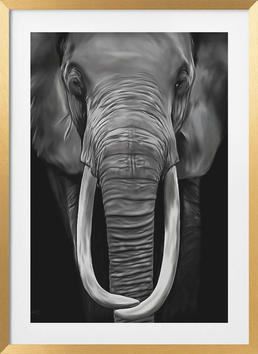 Loxodonta Framed Art Wall Decor