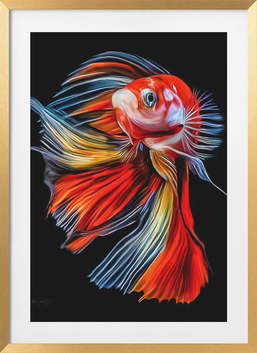 Colorful Fish Framed Art Wall Decor