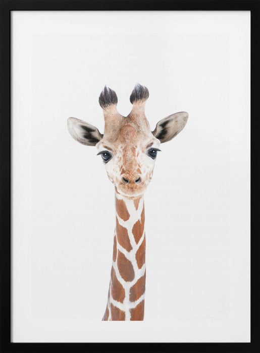 Baby Giraffe Framed Art Wall Decor