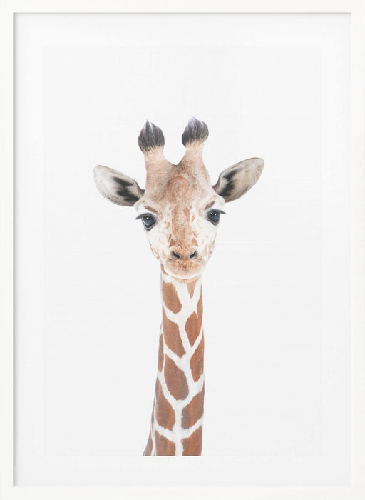 Baby Giraffe Framed Art Wall Decor