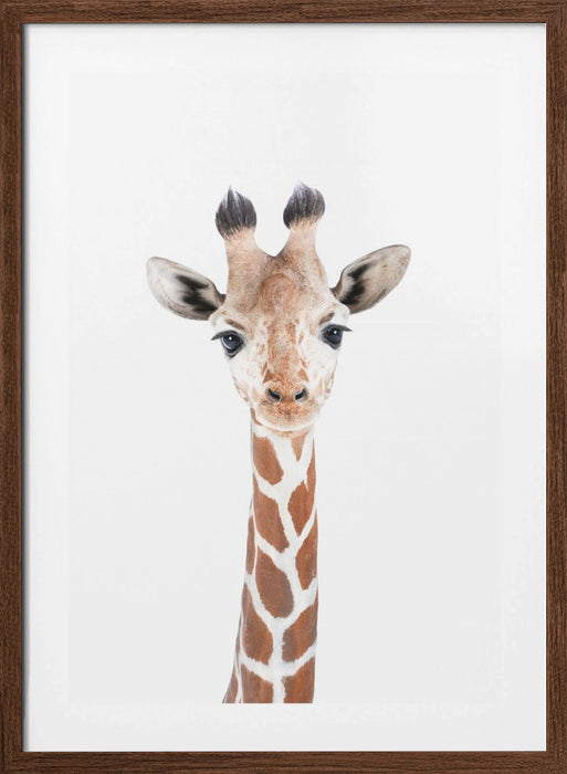 Baby Giraffe Framed Art Wall Decor