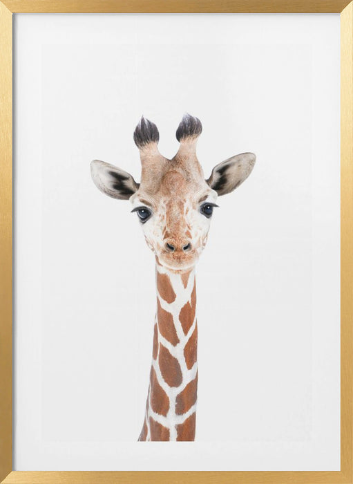 Baby Giraffe Framed Art Wall Decor