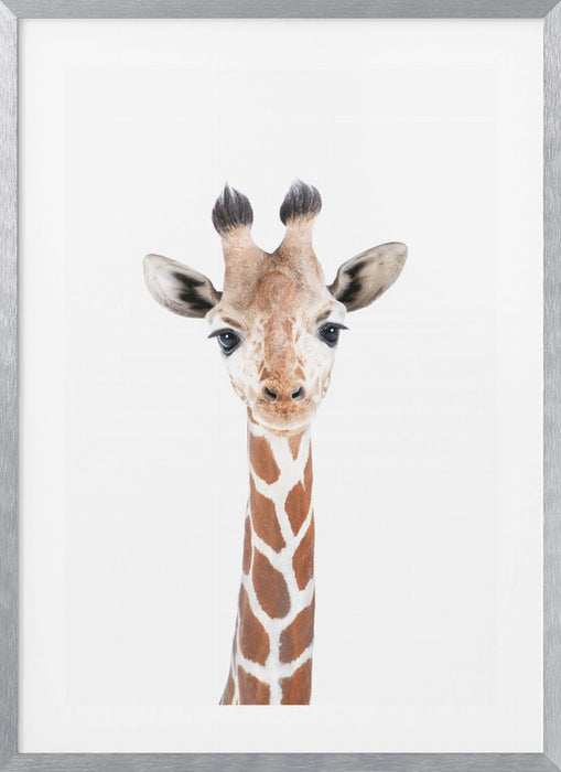 Baby Giraffe Framed Art Wall Decor