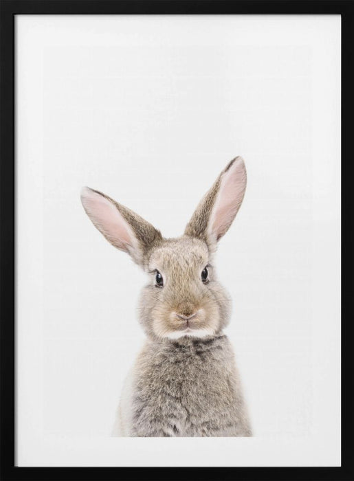 Baby Rabbit Framed Art Wall Decor