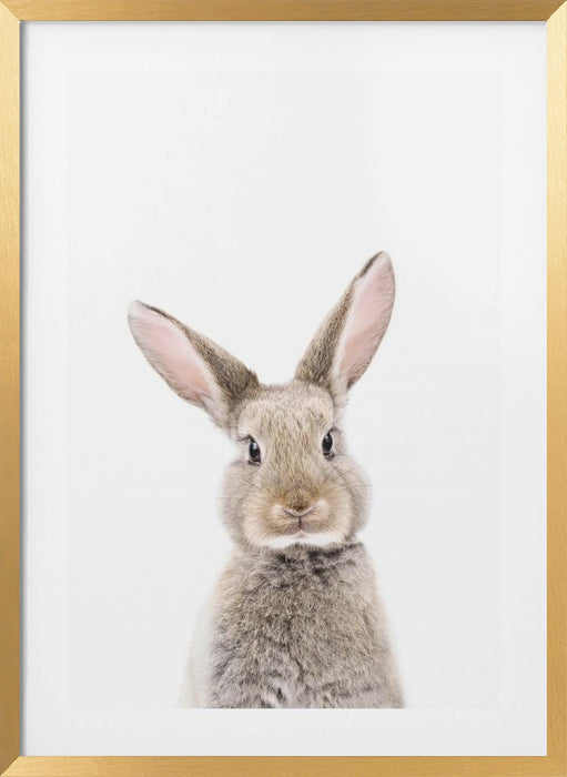 Baby Rabbit Framed Art Wall Decor