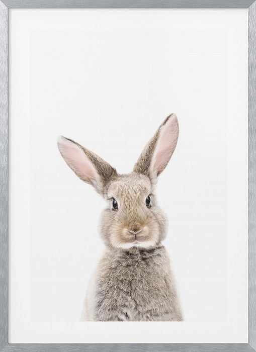 Baby Rabbit Framed Art Wall Decor