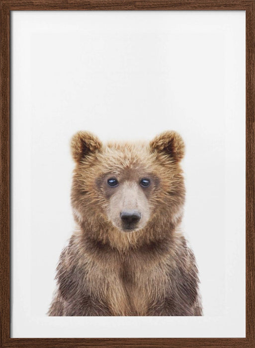 Baby Bear Framed Art Wall Decor