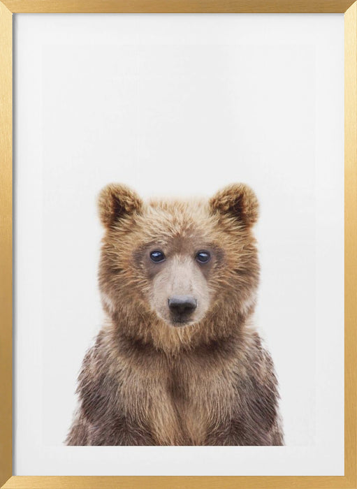 Baby Bear Framed Art Wall Decor