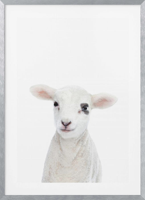 Baby Lamb Framed Art Modern Wall Decor