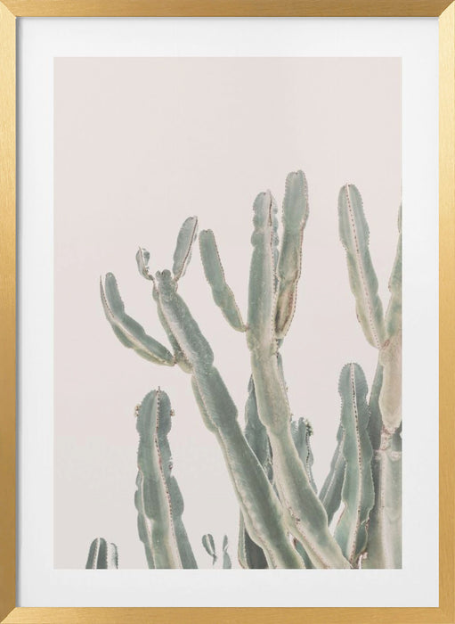 Sunrise Cactus Framed Art Modern Wall Decor