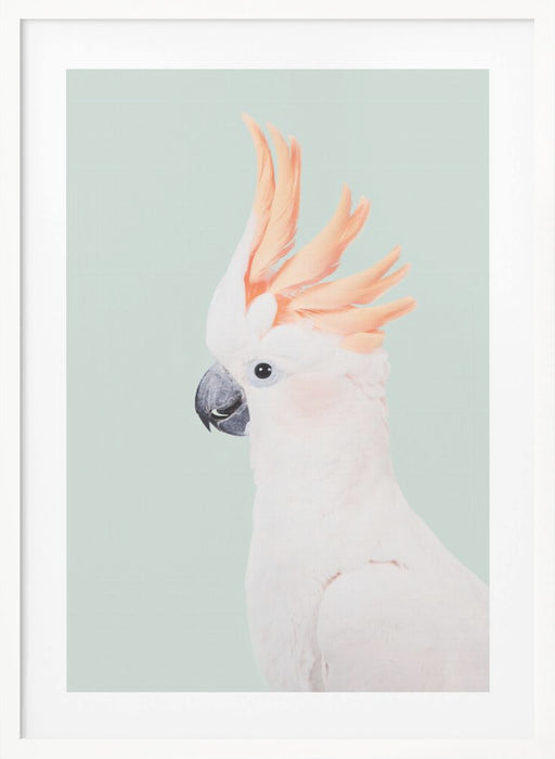 Cockatoo Framed Art Wall Decor