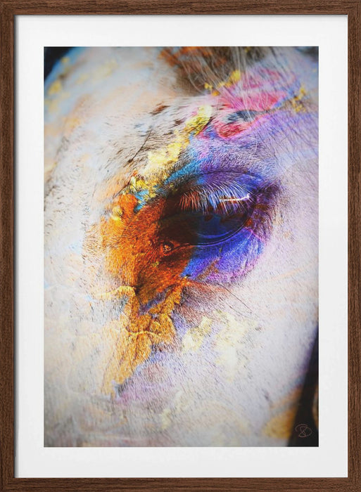 Painted Horse Framed Art Modern Wall Decor