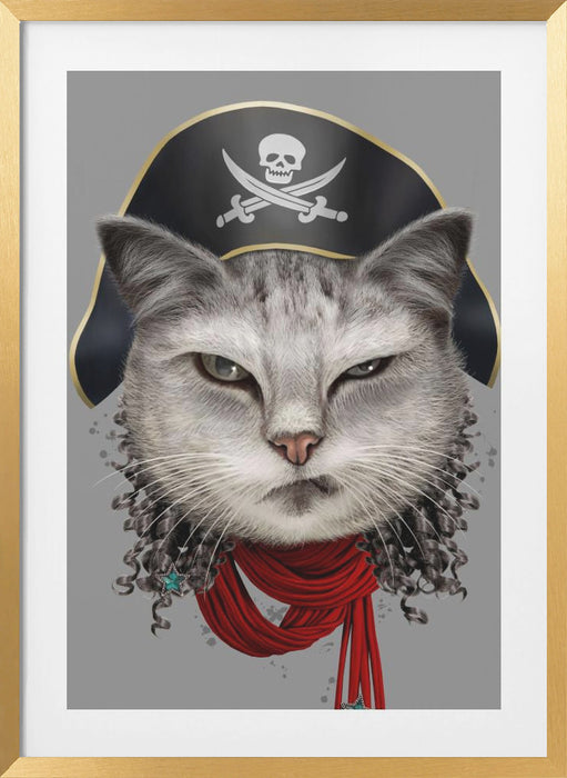 pirate Framed Art Modern Wall Decor